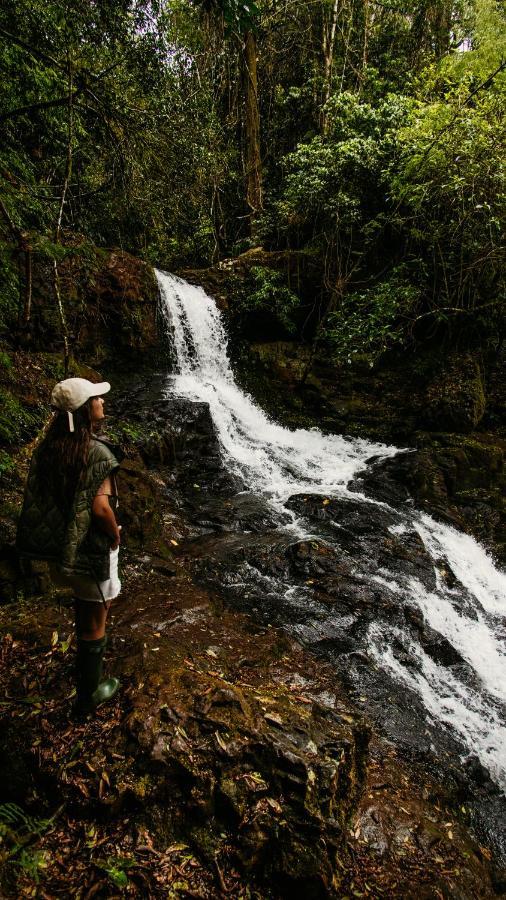 Reserva Natural Iguazu - Pristine Luxury Camp Puerto Libertad Екстер'єр фото